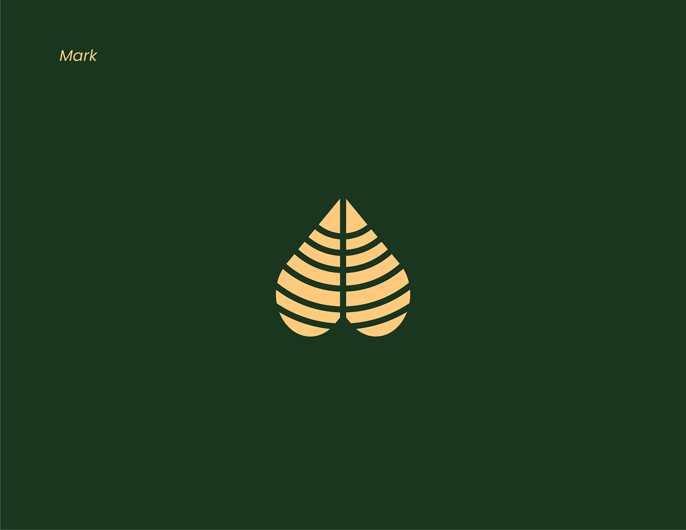 app brand identity branding  graphic design  logo meditation Nature zen