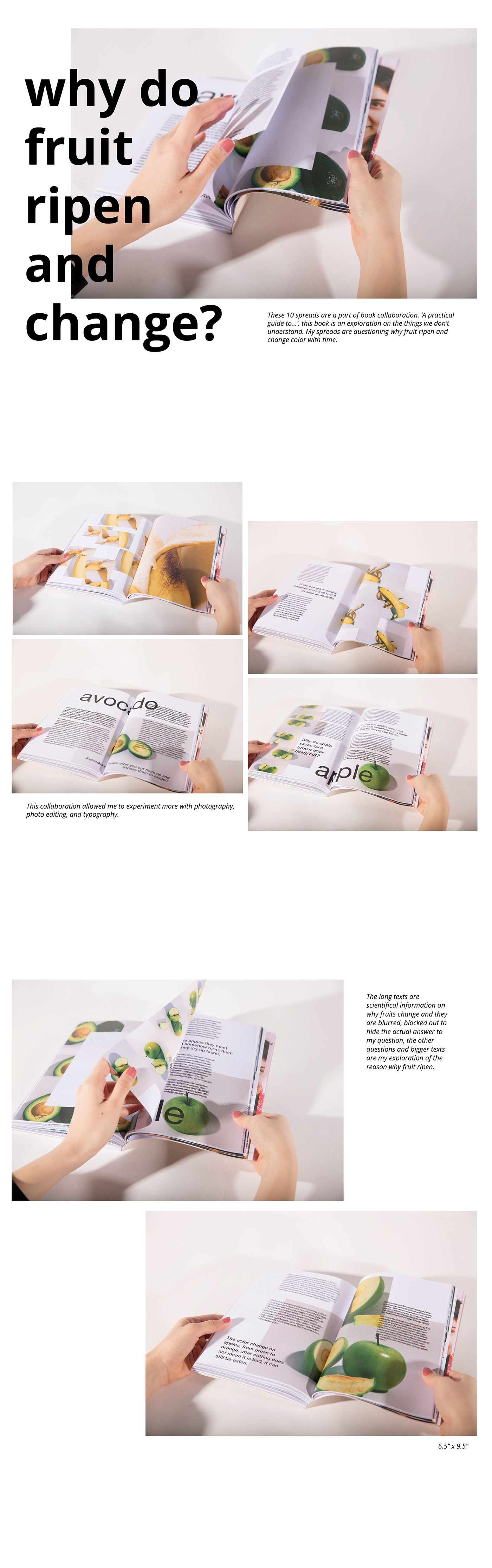 book editorial collabration Photography  graphic design  Fruit typography  