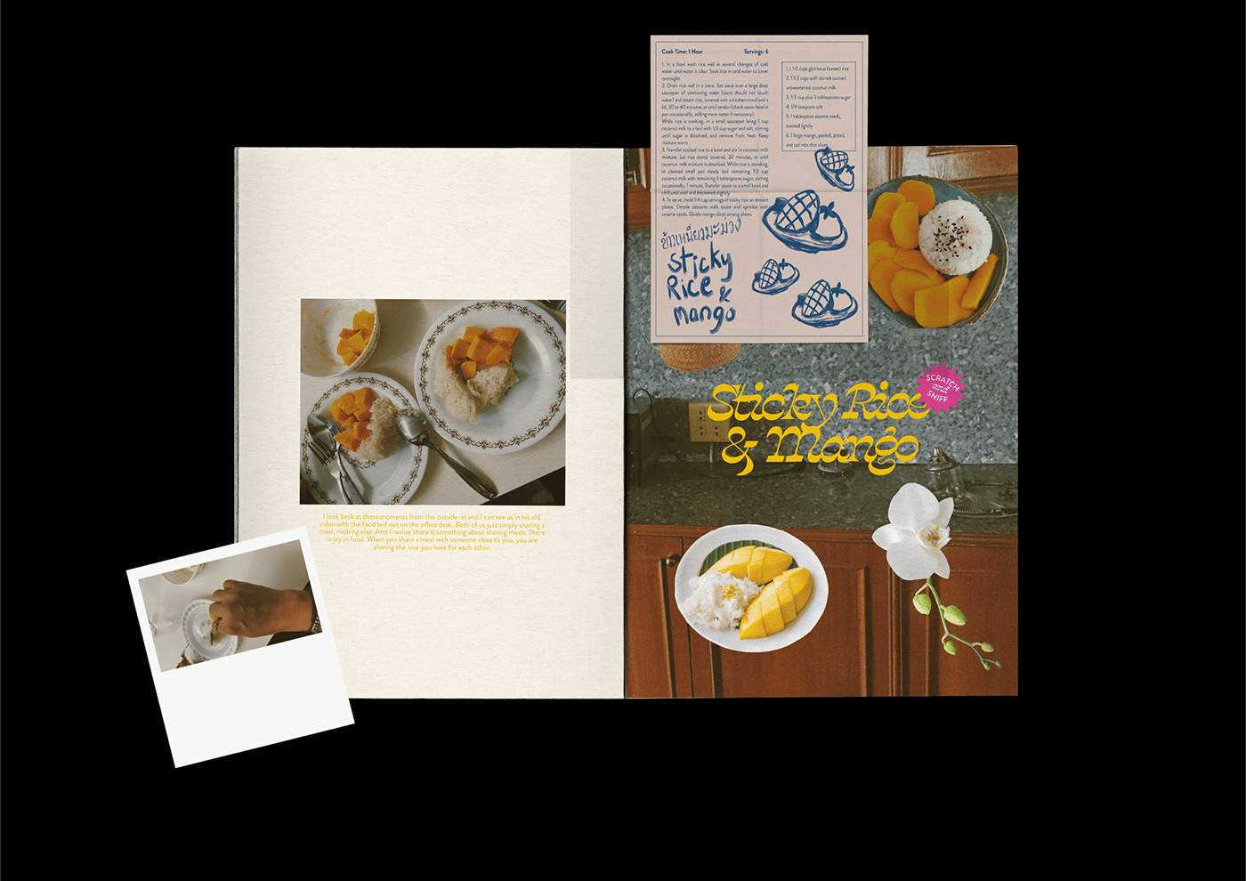art direction  book design book object graphic design  Layout mailer multisensory Packaging publication design Zine 