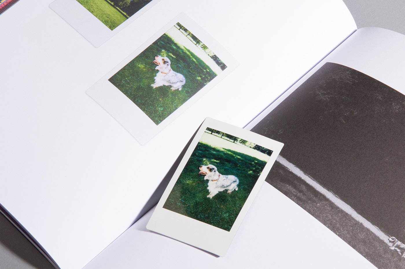 editorial book ILLUSTRATION  Packaging binding Photography  analog instax offset
