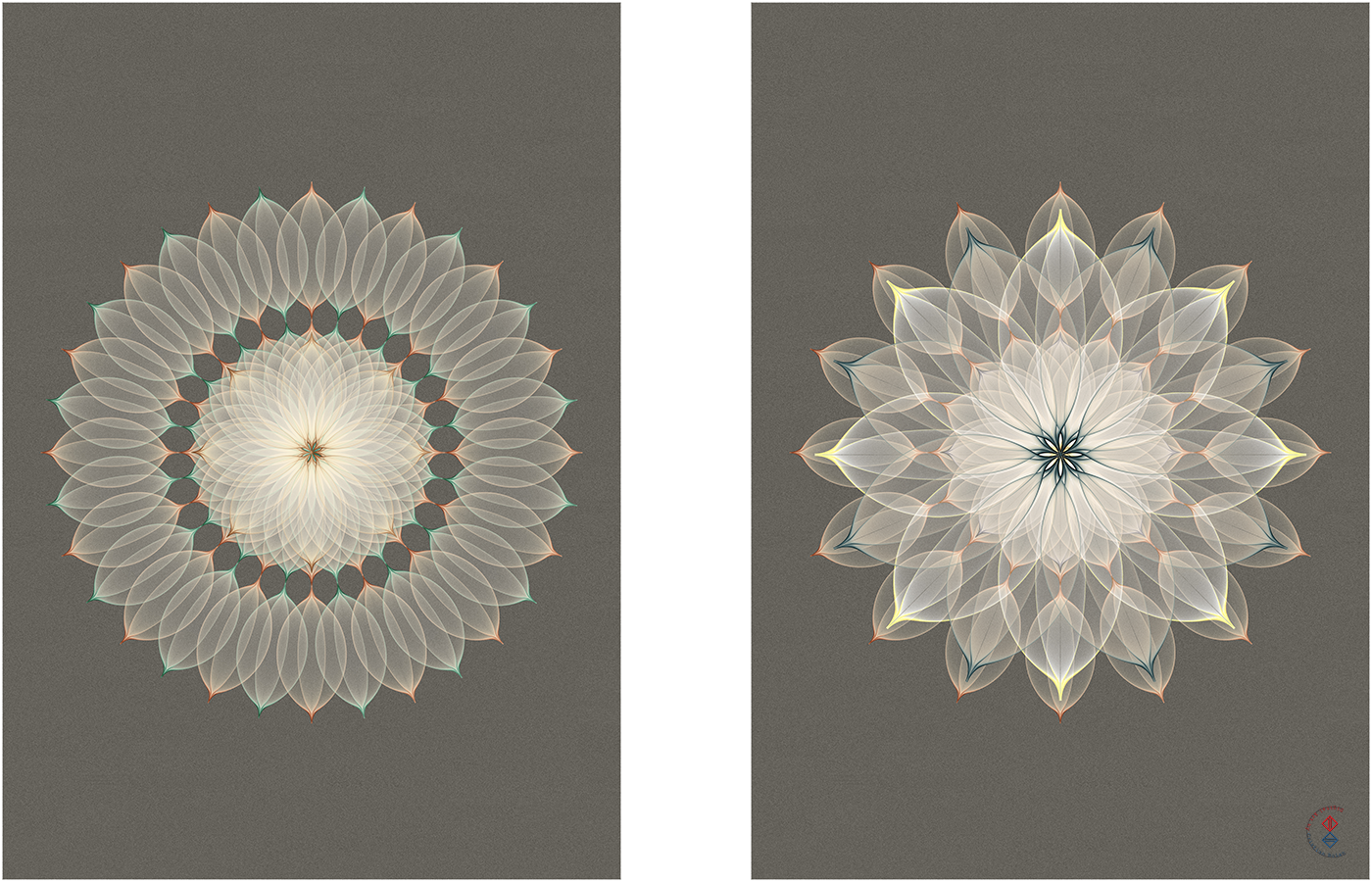 Adobe Portfolio covers cristianboian digital Flowers mix attempts photoshop