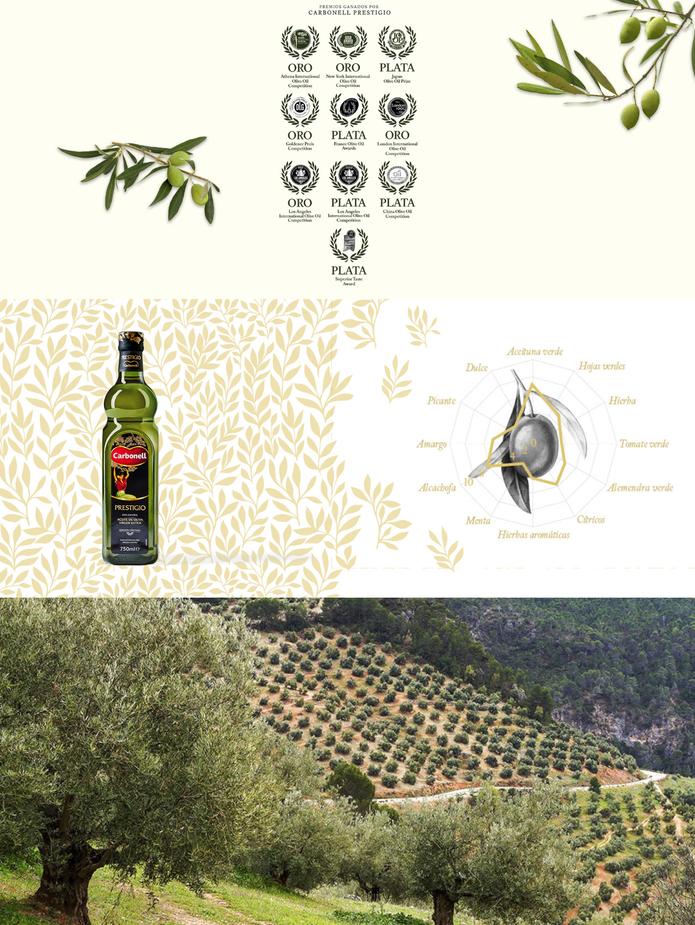 Packaging diseño Olive Oil branding  oil olive