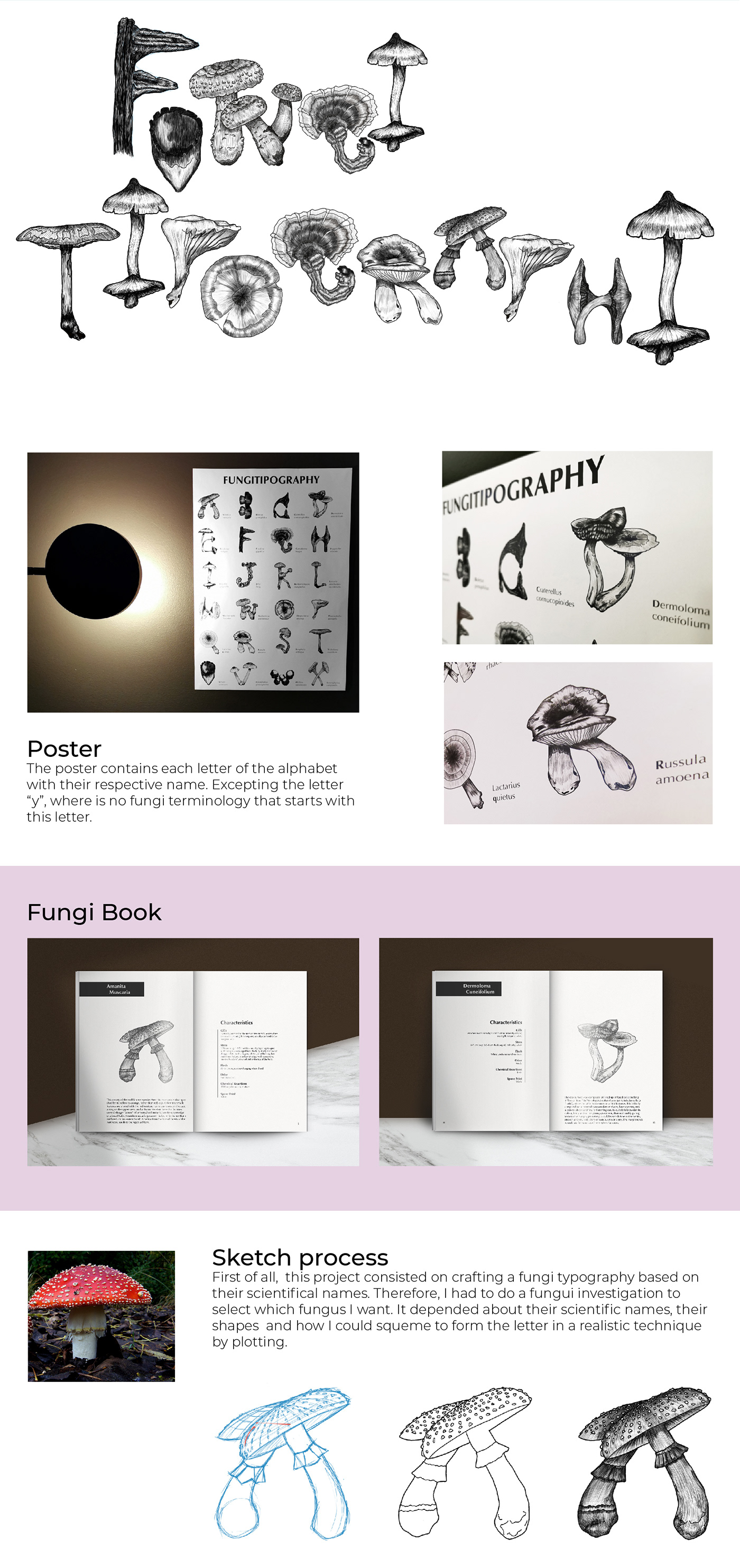 alphabet creative ILLUSTRATION  Layout Design realist art typography  