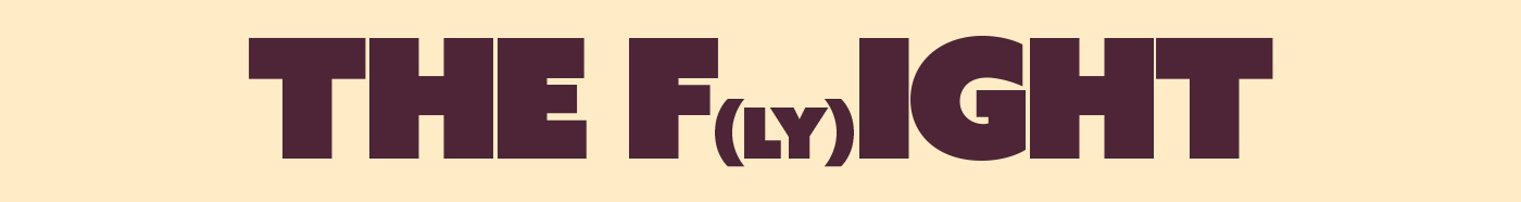 Duik after effects flatdesign Character Fly flight Computer designer hypster marc descamps