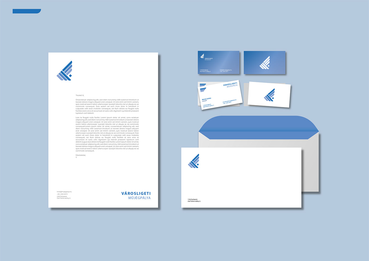 blue brand Brand Design branding  budapest icerink Logo Design visual identity wings logo