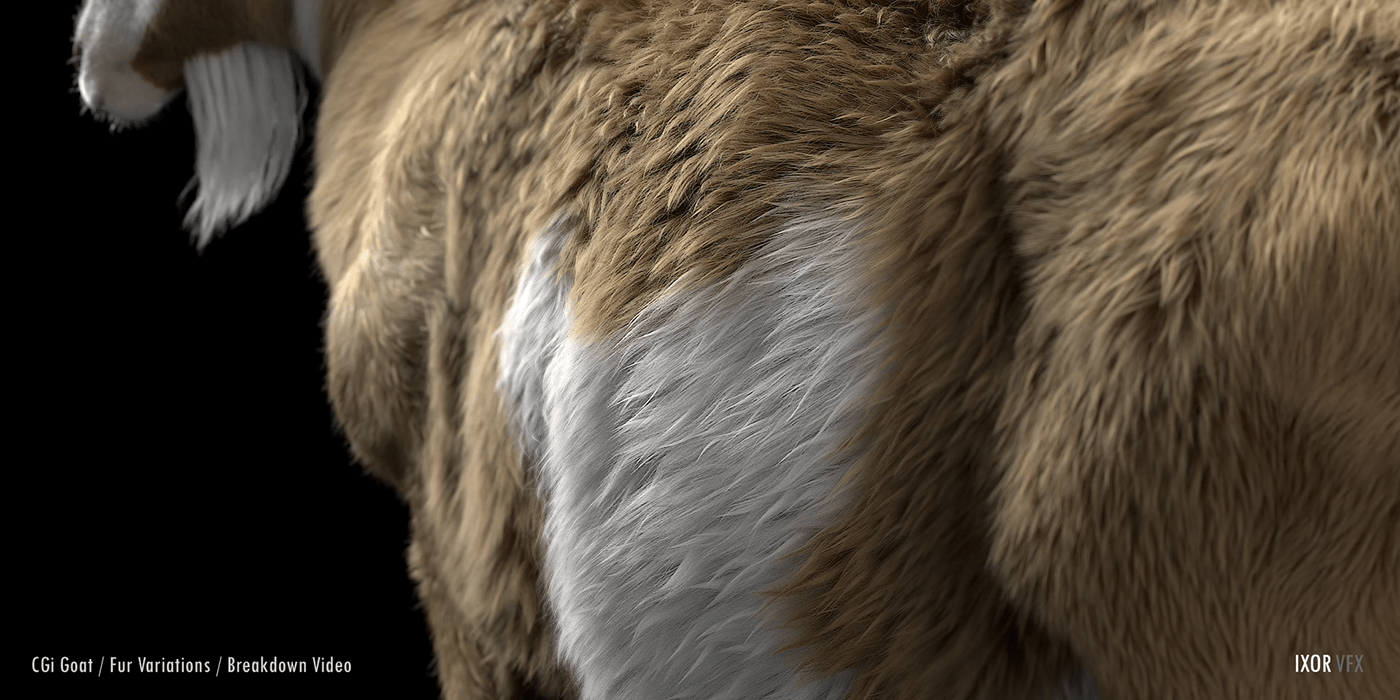 3D animal CGI creative Fur goat visualisation 3danimation 3dart digitalart