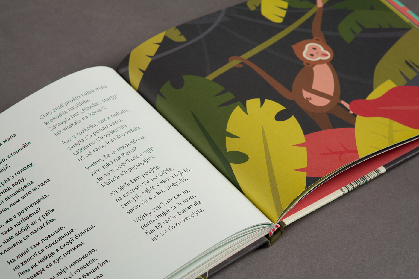 book design ILLUSTRATION  typography   children rusyn
