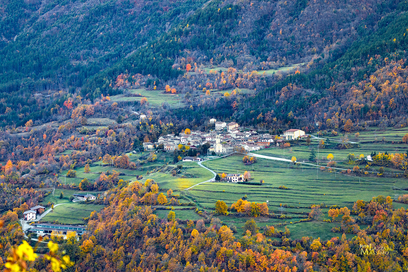 autunno collina foliage Landscape Nature