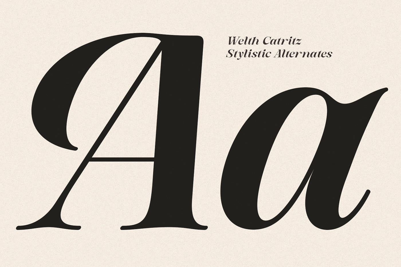 Classic custom font Display font Font Retro serif type type design Typeface typography  