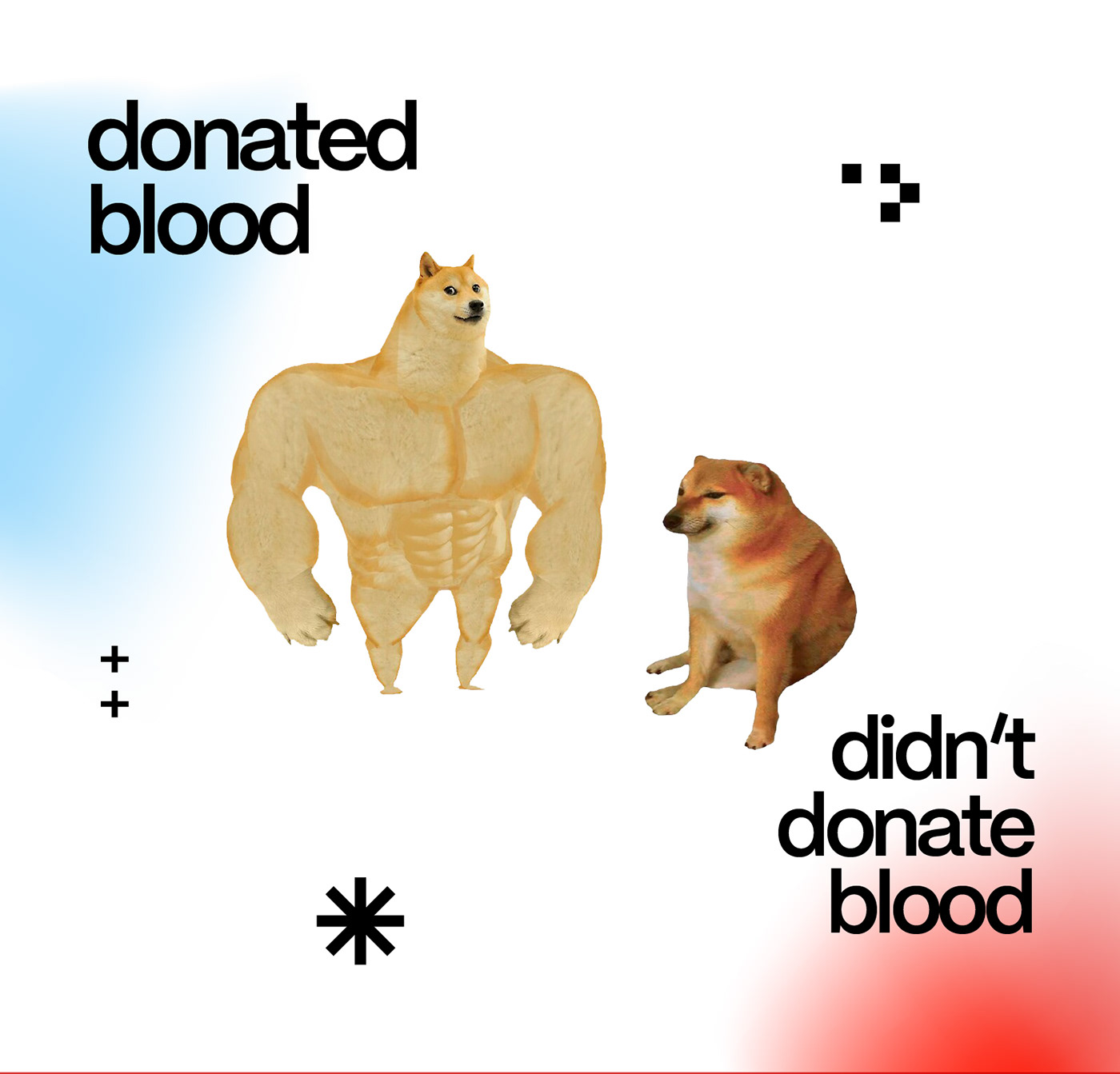 design visual identity Web Design  Health ia blood donation campaign Blood Campaign if design award