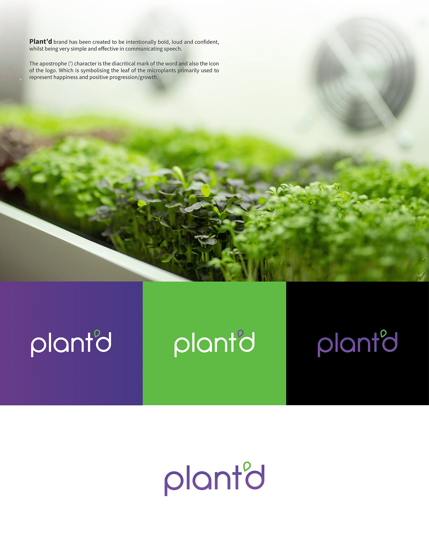 microplants branding  green Urban farming verticalfarm microgreens identity eco romania