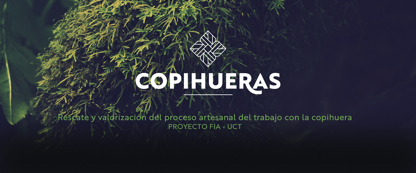 documental mapuche copihue Fotografia teaser diseño arte