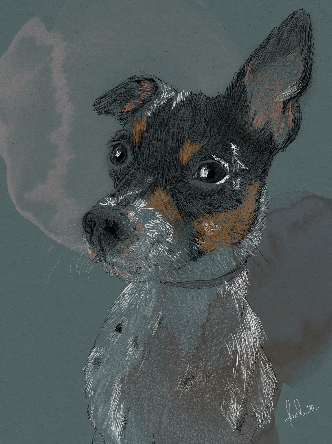 dog pencil watercolor