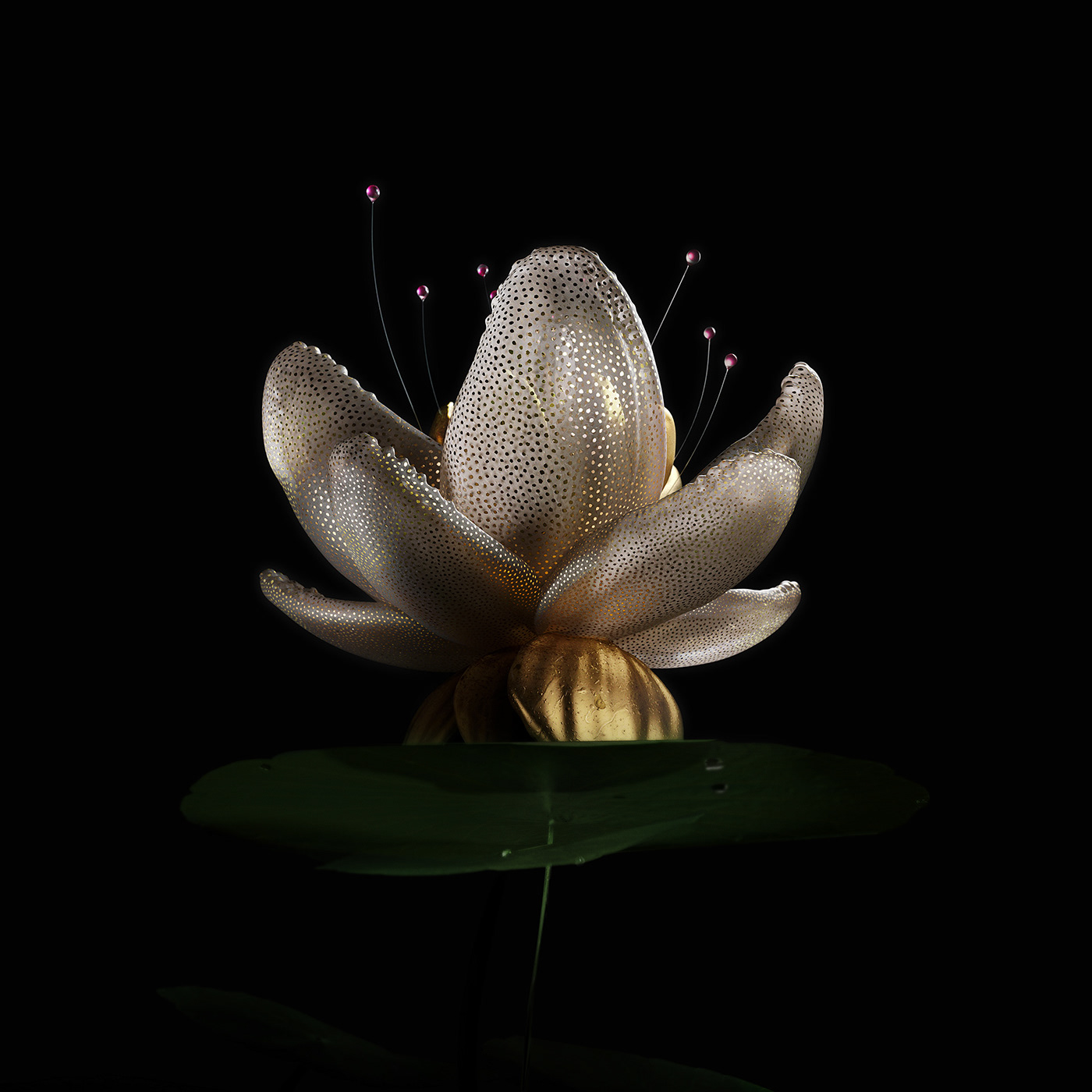 3D abstract blender c4d Digital Art  dream flower Nature octane xebius