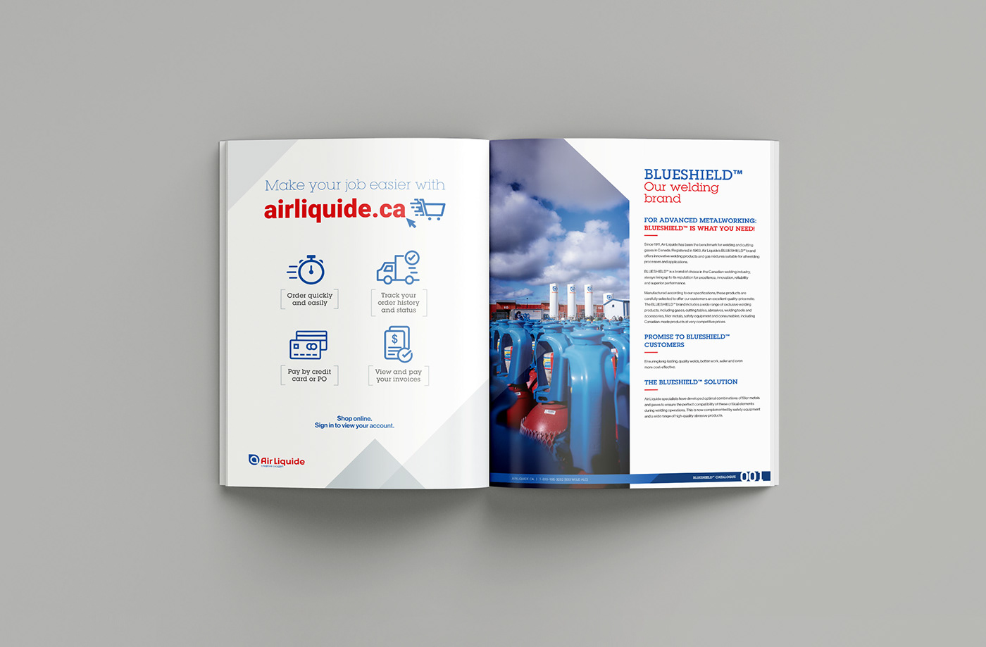 Air Liquide catalog Catalogue Catalogue de produits design editorial editorial design  imprimé Layout print Product Catalog