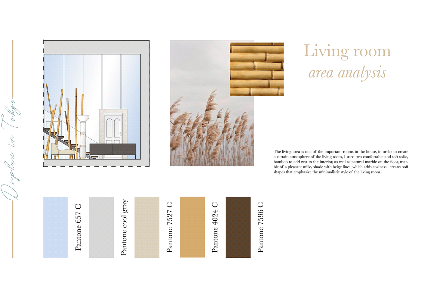 AutoCAD collage furniture InDesign Interior interior design  visualization