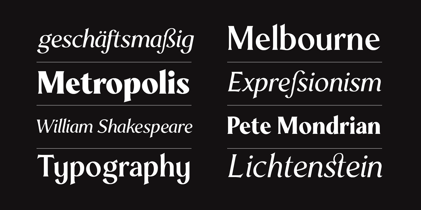 Typeface typography   type design mondia branding  editorial finance modern font