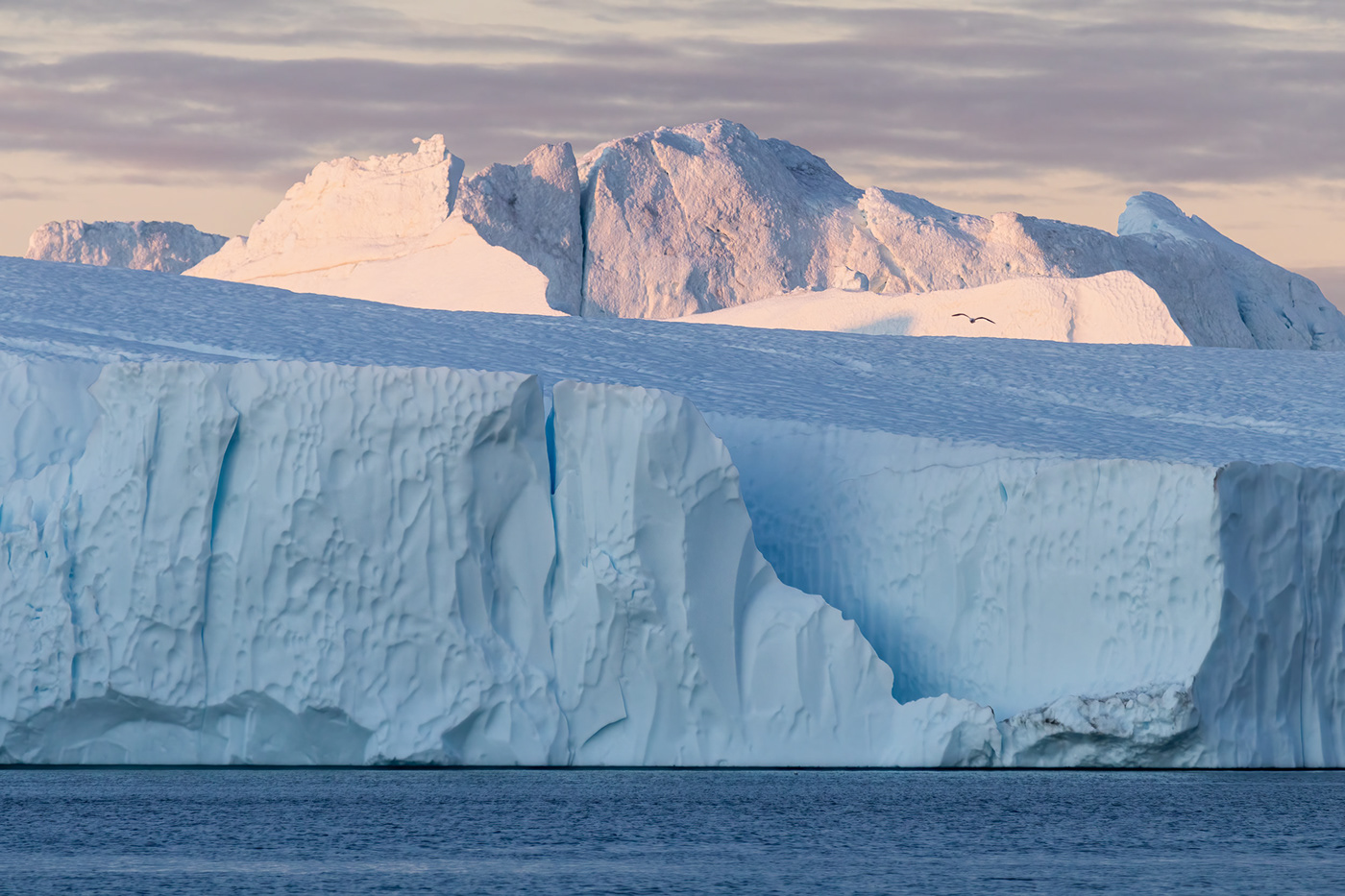 adventure animals Arctic global warming Greenland ice Ilulissat Landscape Nature Photography 