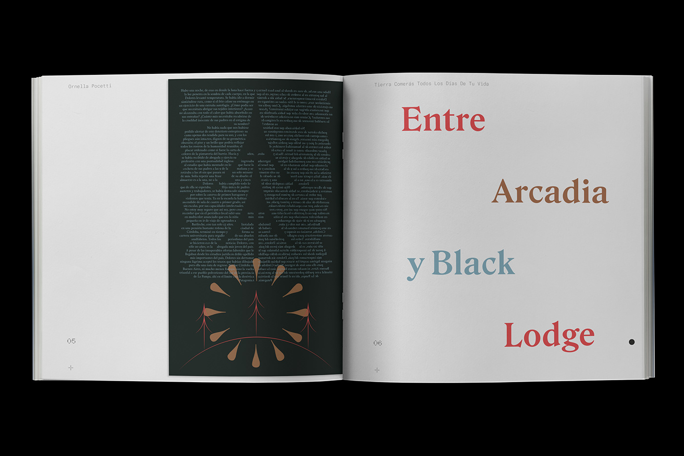 art book book design design editorial InDesign Layout magazine print typography  
