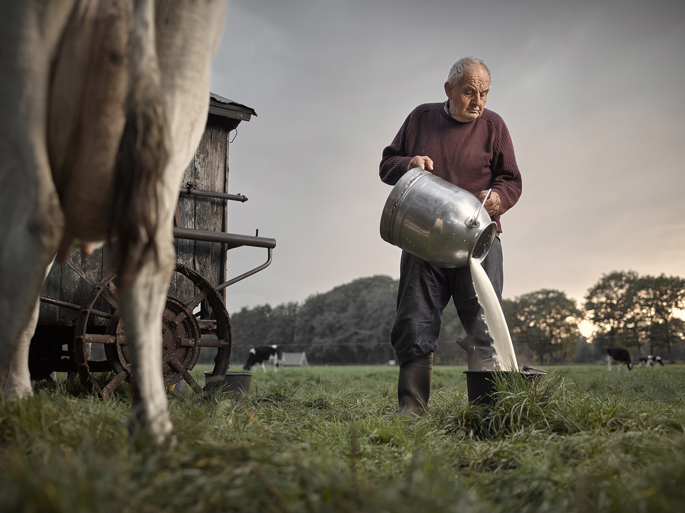 Boer Gerrit broncolor cows Craftmanship farmer jeroen nieuwhuis milk Netherlands old phase one