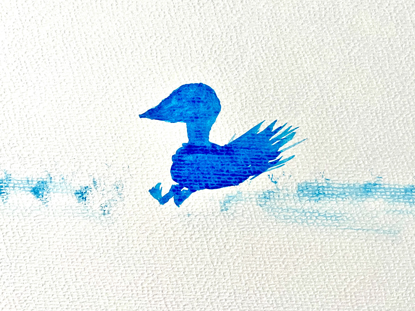 watercolour watercolor blue bird