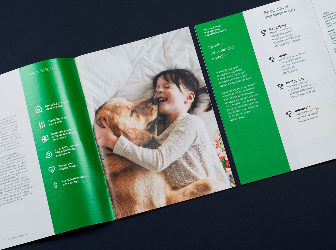 brandbook branding  corporate design system graphic design  insurance manual Manulife oddity Rebrand