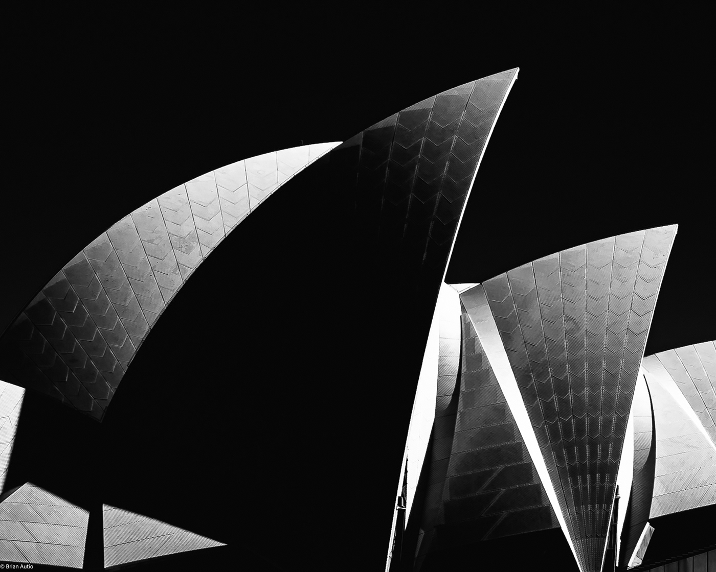 architecture Australia black and white lightroom monochrome Photography  Sydney Opera House Travel