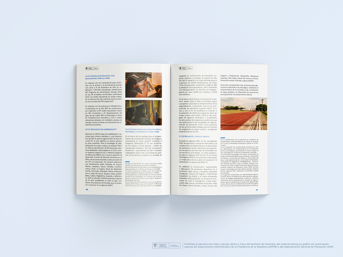 book editorial editorial design  graphic design  InDesign informe magazine Magazine design report text