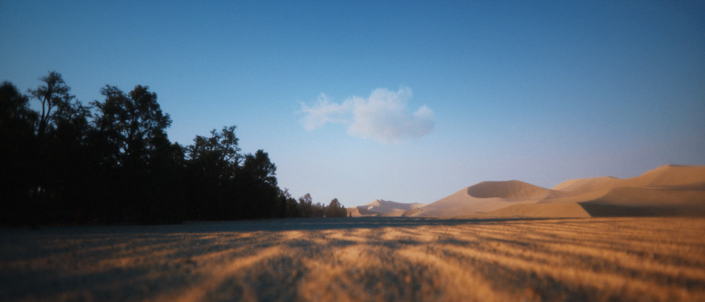 adobe art cinematic desert Film   forest lighting maxon shortfilm surreal