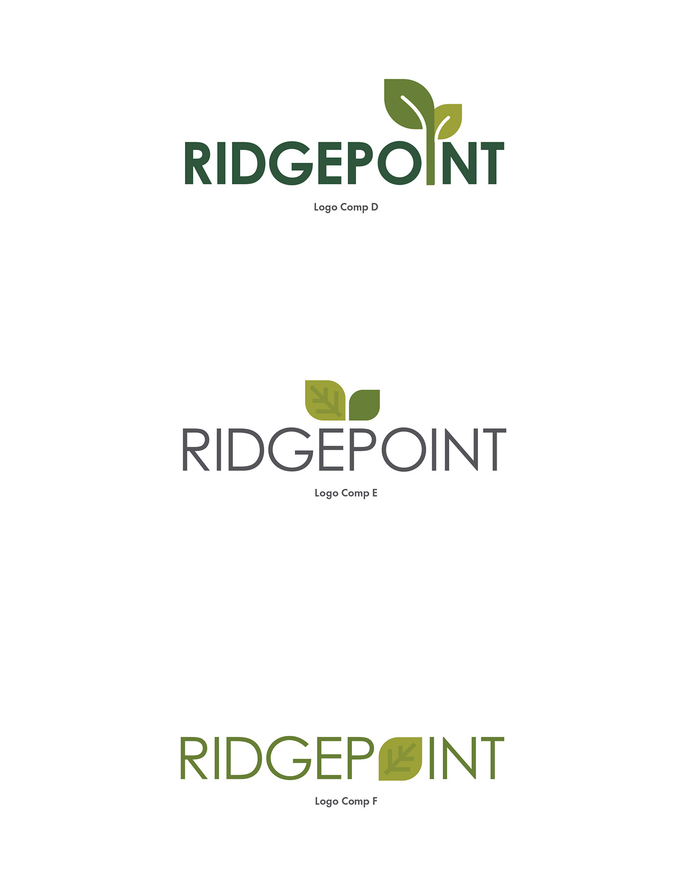 Ridgepoint leaf leaves typography   Century Gothic types logos ILLUSTRATION 