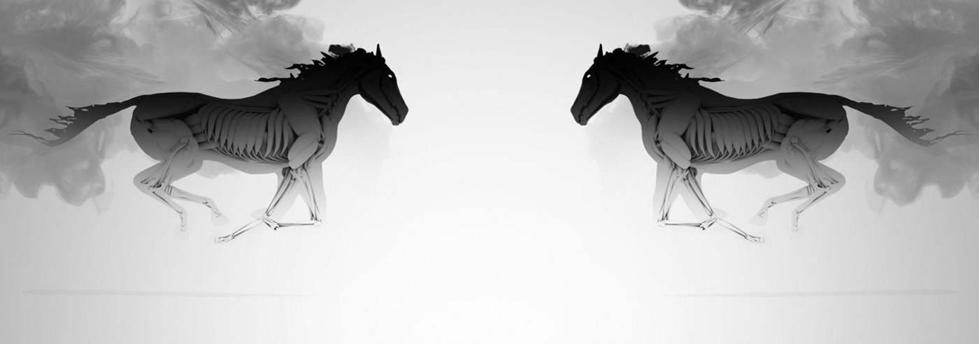 Faust projections opera horse black horse skeleton horse black and white symmetry la damnation de