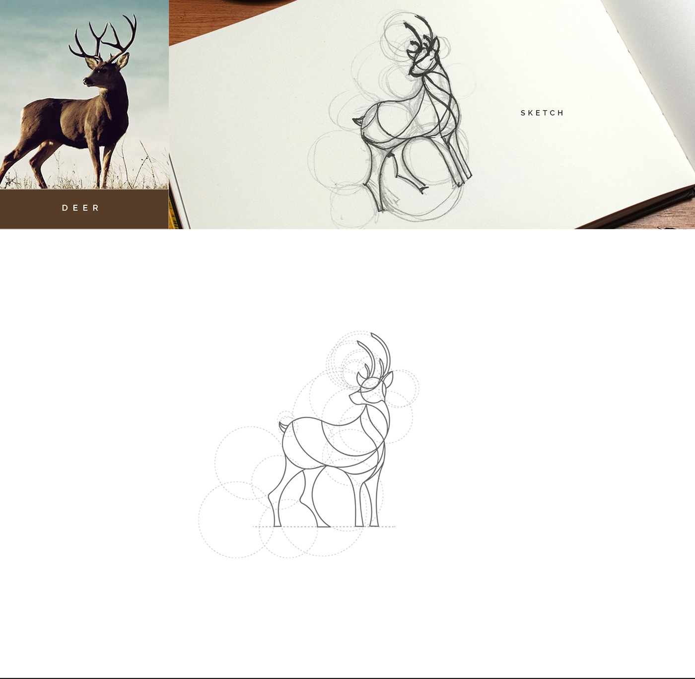 animal logos branding  Animal Branding Animal Marks animals wild animals grid design animal illustrations Graphic Designer Illustrator