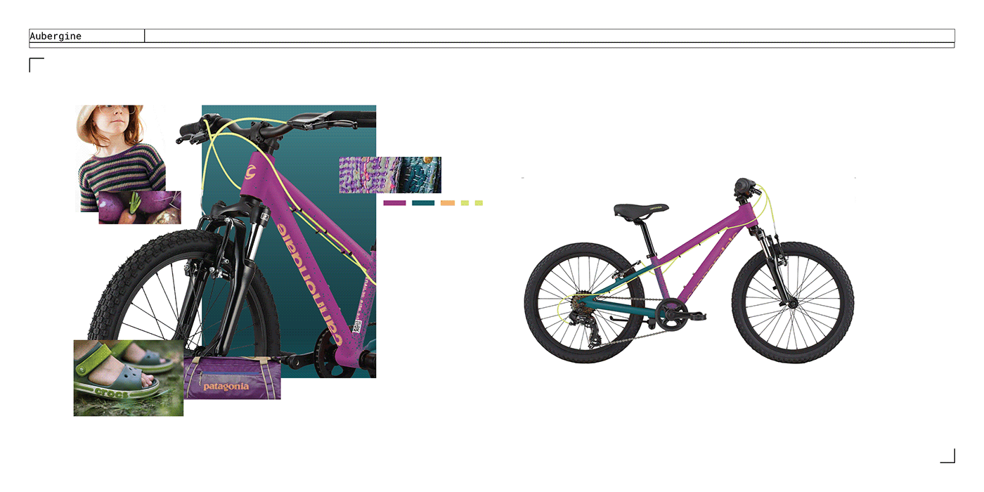 Bicycle Cannondale cmf CMF Design color paint personal project refurbished Sustainable Design