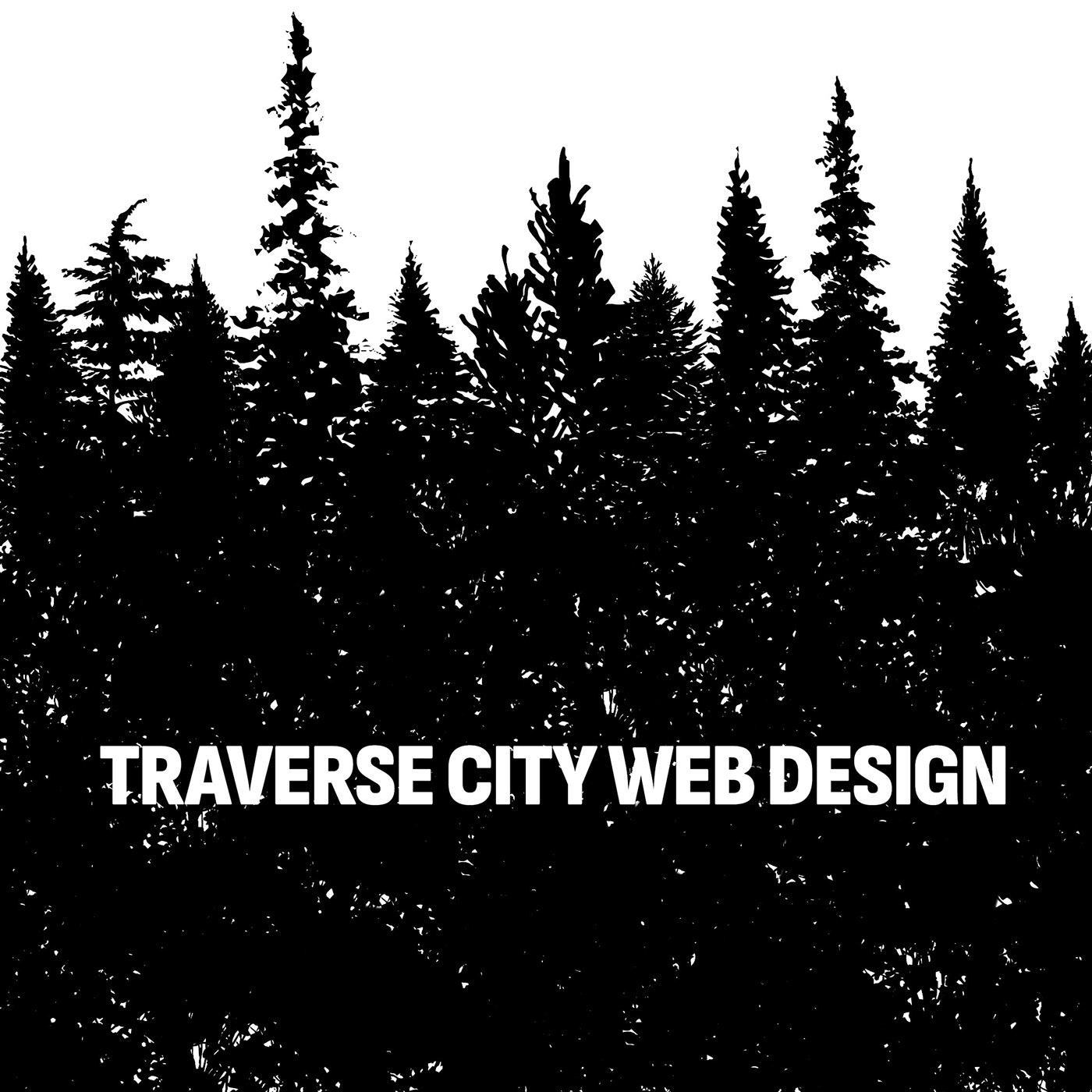 Web Design  logo graphic design  northern forest adventure extreme mountains maps pines