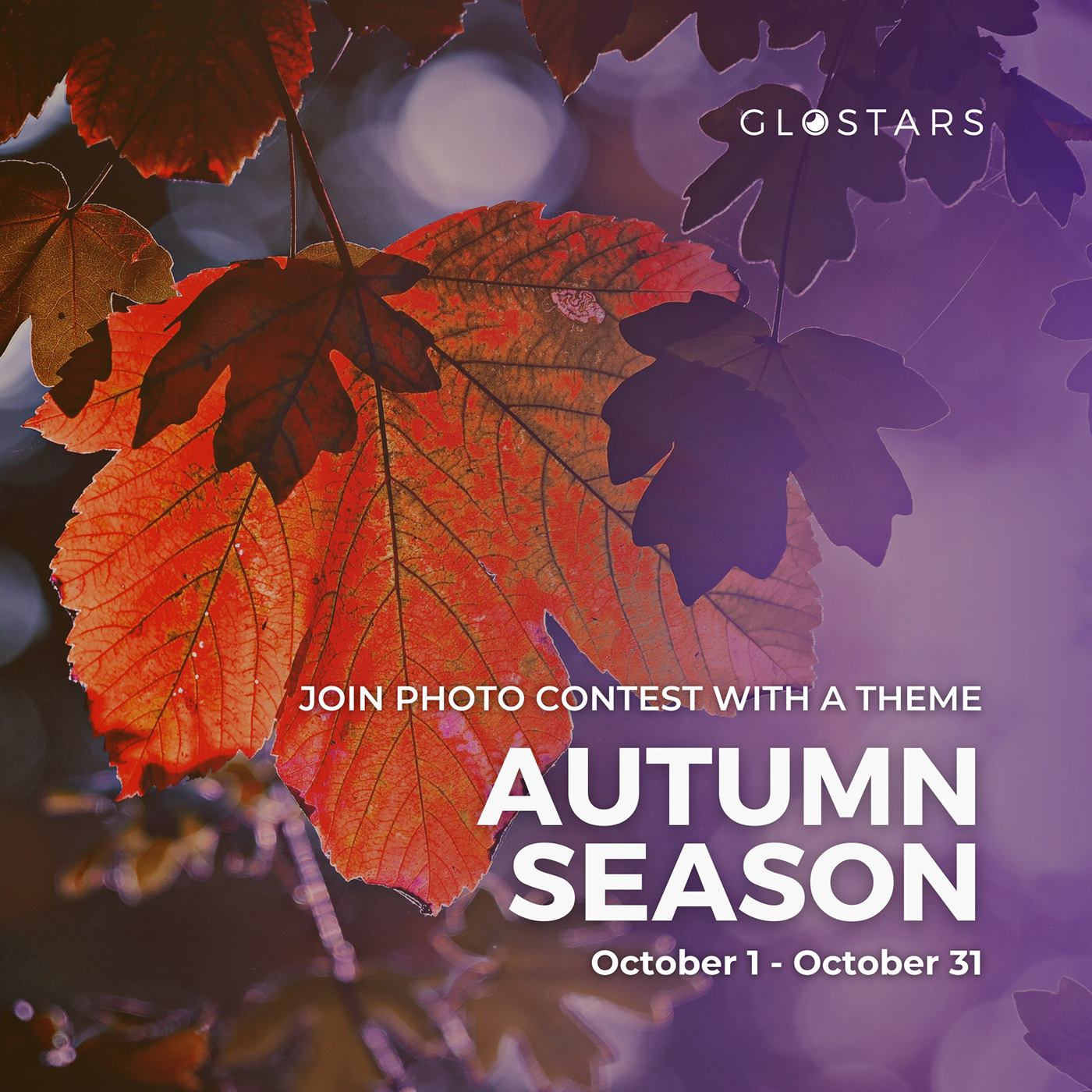 autumn contest Fall glostars Landscape mountains PhotoContest photographer Photography  trees