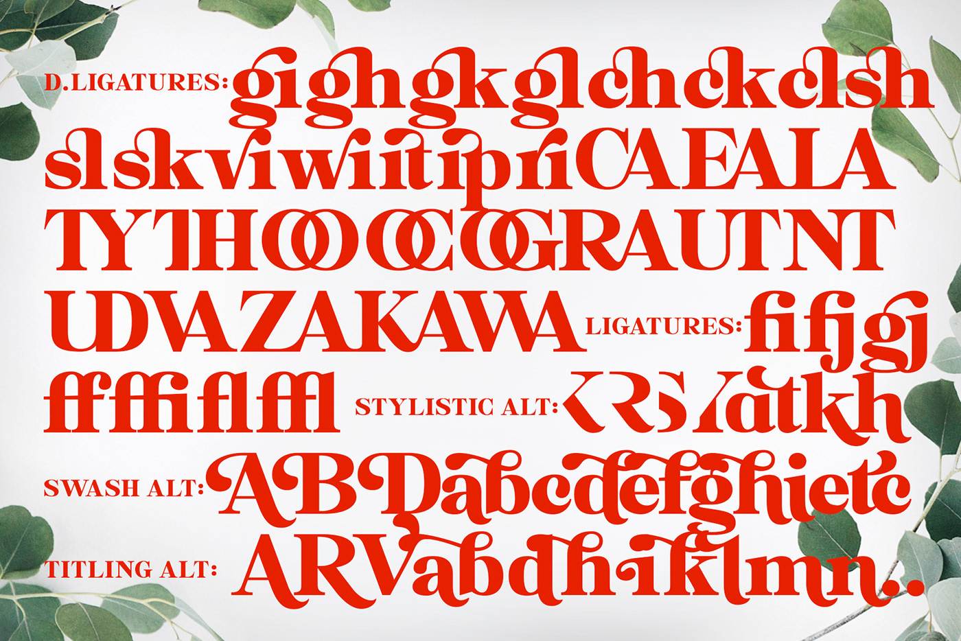 serif bold Retro clean swash elegant Typeface font