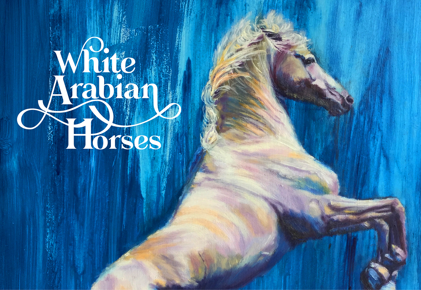 White Arabian horses illustrations horse paintings