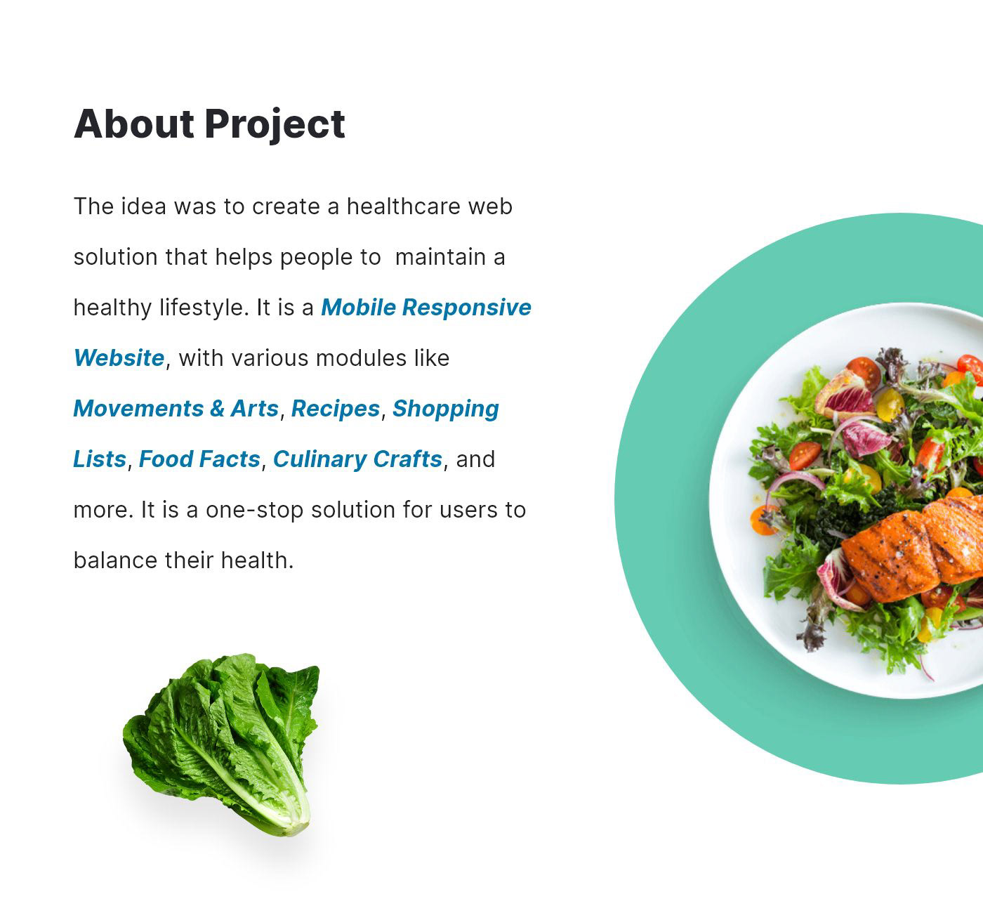 app development company health solutions Healthcare software online healthcare webmobtech