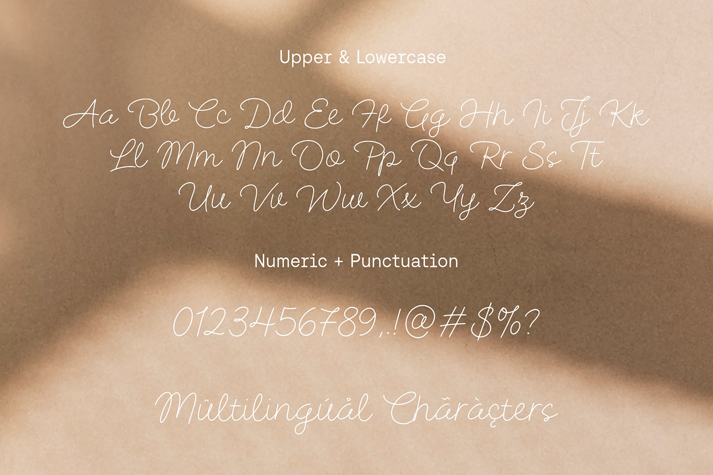 fonts Free font handwritten Calligraphy   Script branding  typography   monoline elegant feminime