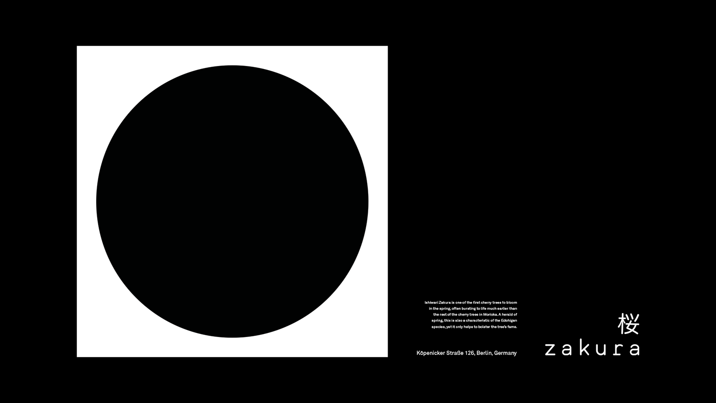 black and white brand identity design graphic design  japan Logotype visual identity