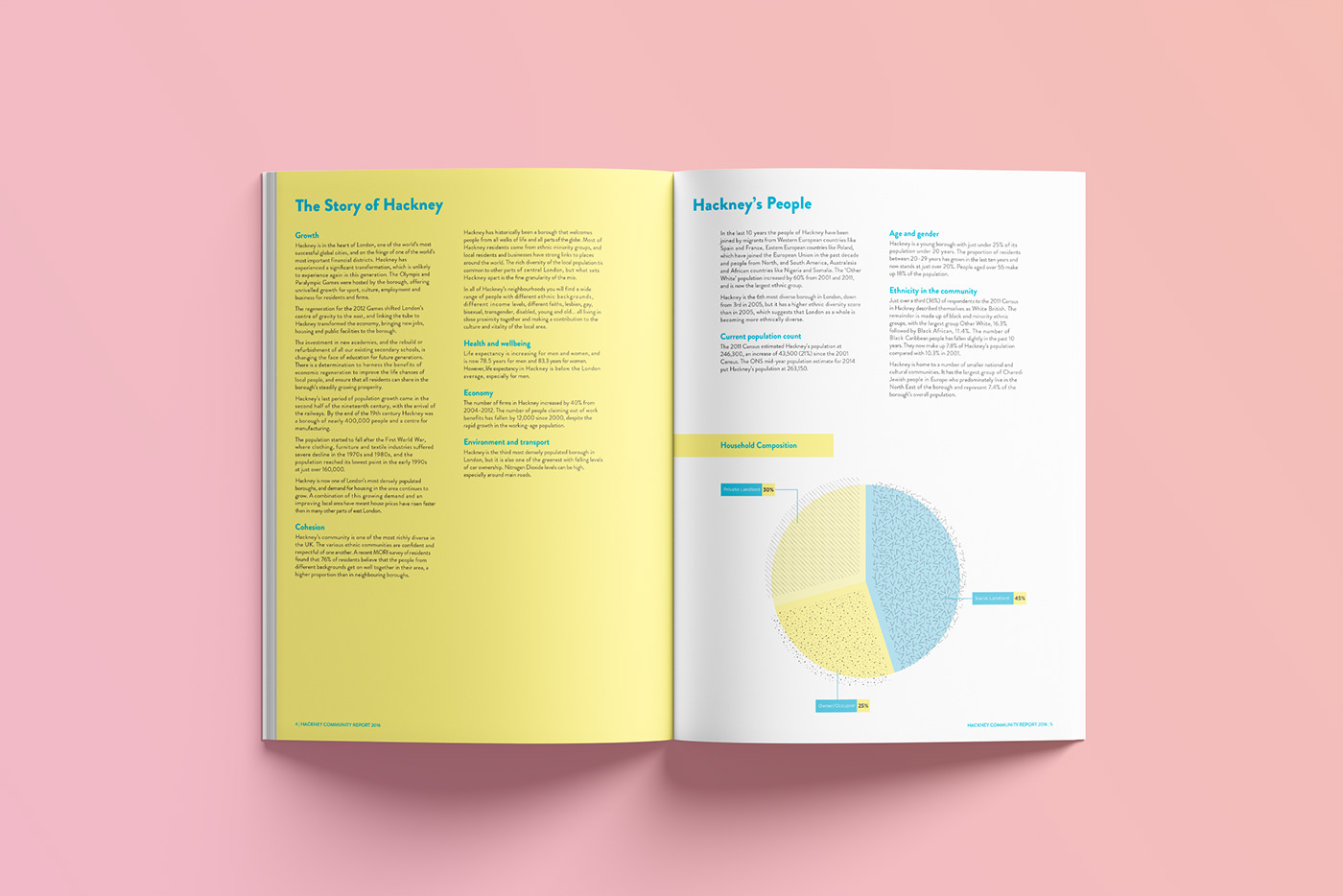 annual report community report Student Brief typesetting illustrations graphic design 