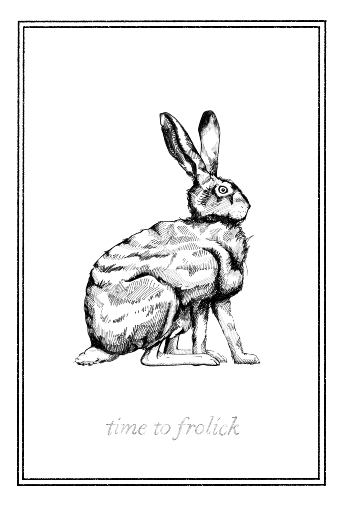 ILLUSTRATION  black and white hare Turtle tortoise jack rabbit Pens and Ink