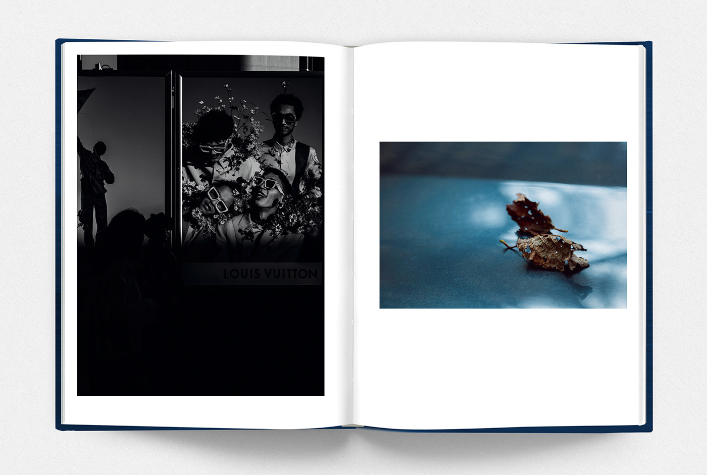 book design editorial Photography  Nature