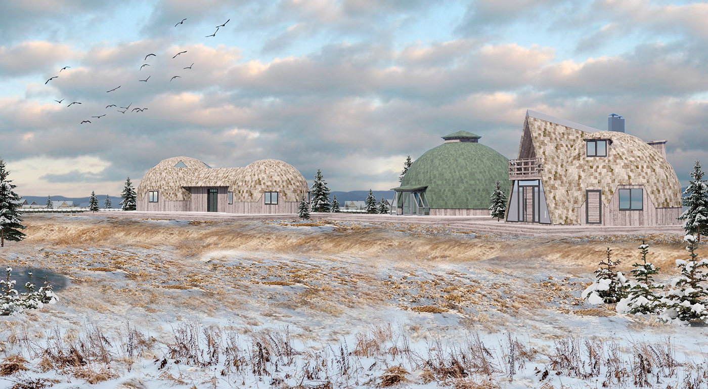 Поместье проект зима природа Nature театр turizm geosphere design architecture