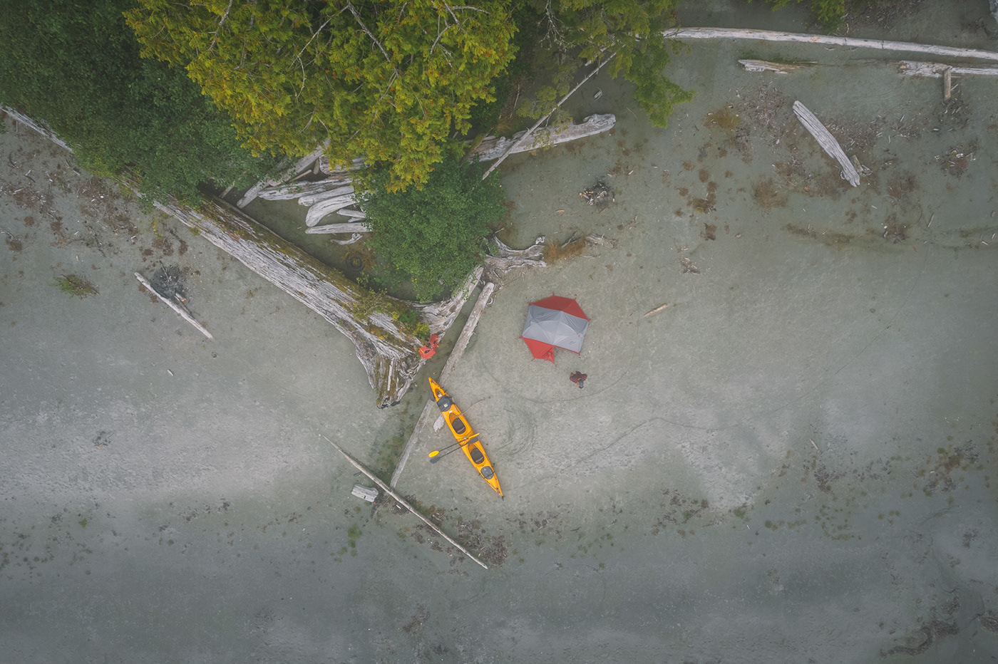 foggy Island kayak Nature Ocean photo Photography  Sony tofino vancouverisland