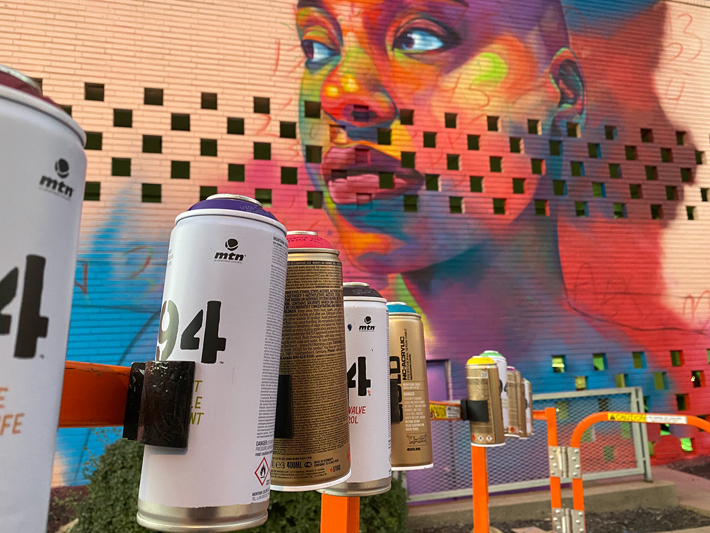 Graffiti Mural mural art Muralist painting   portrait spray paint Street Art  urban art woman