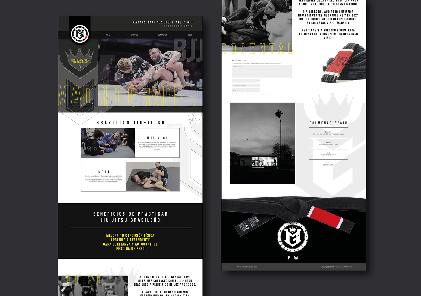 Web Design  Website graphic design  Graphic Designer designer