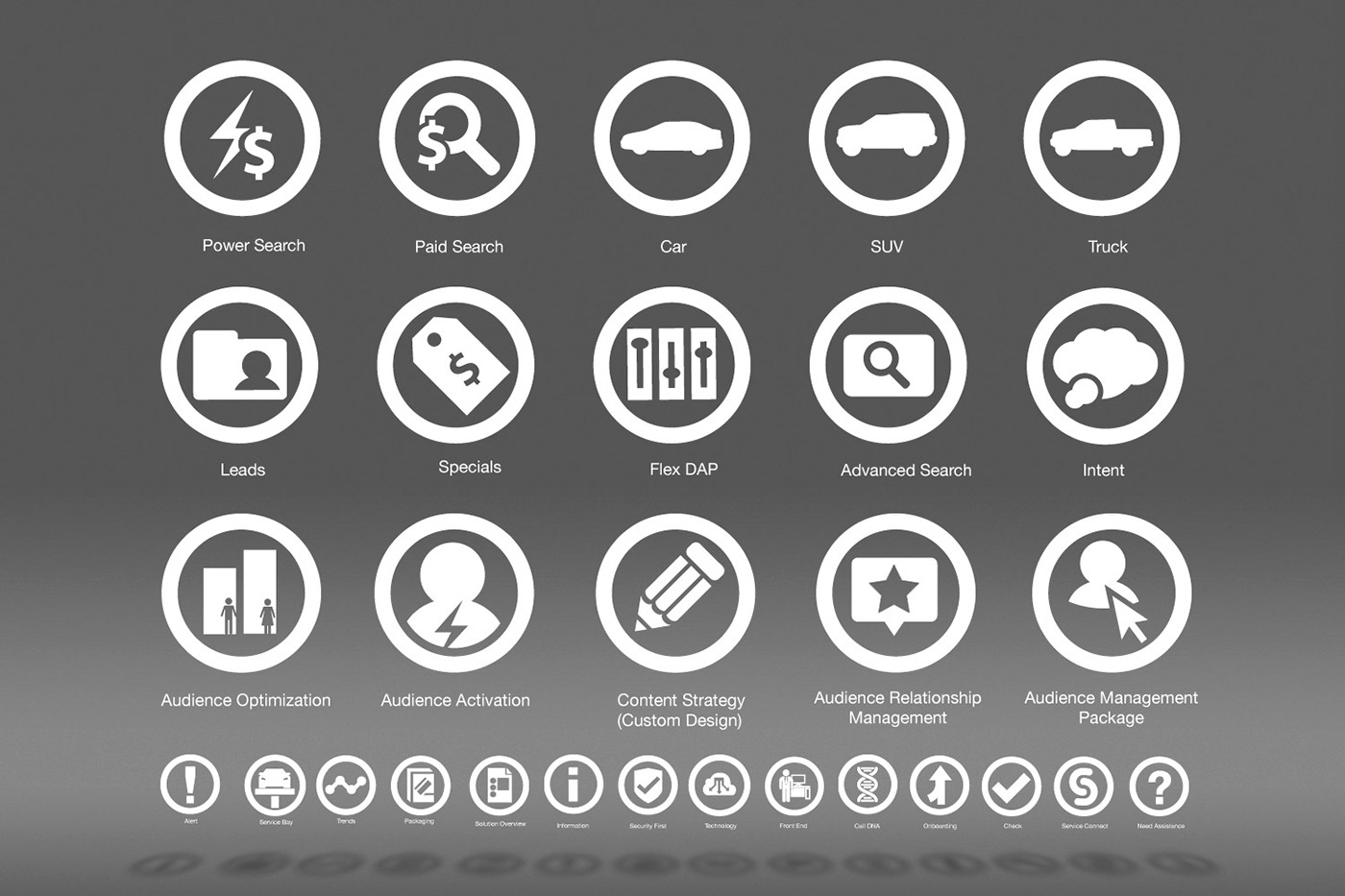 branding  design infographics iconography