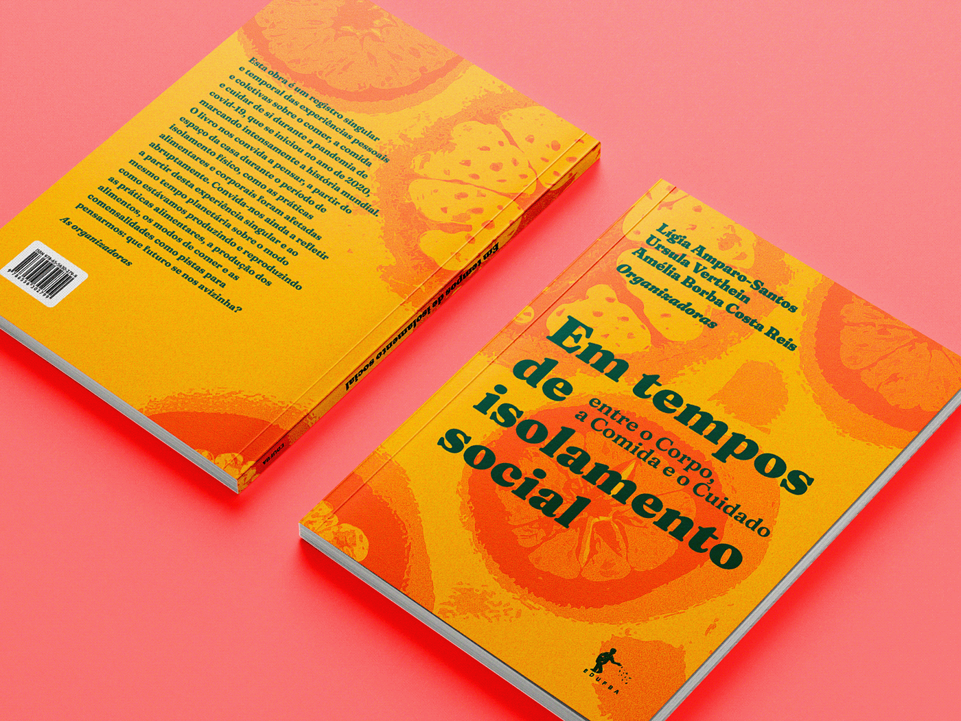 book cover book design brochure design editorial design  graphic design  ILLUSTRATION  InDesign print print design 