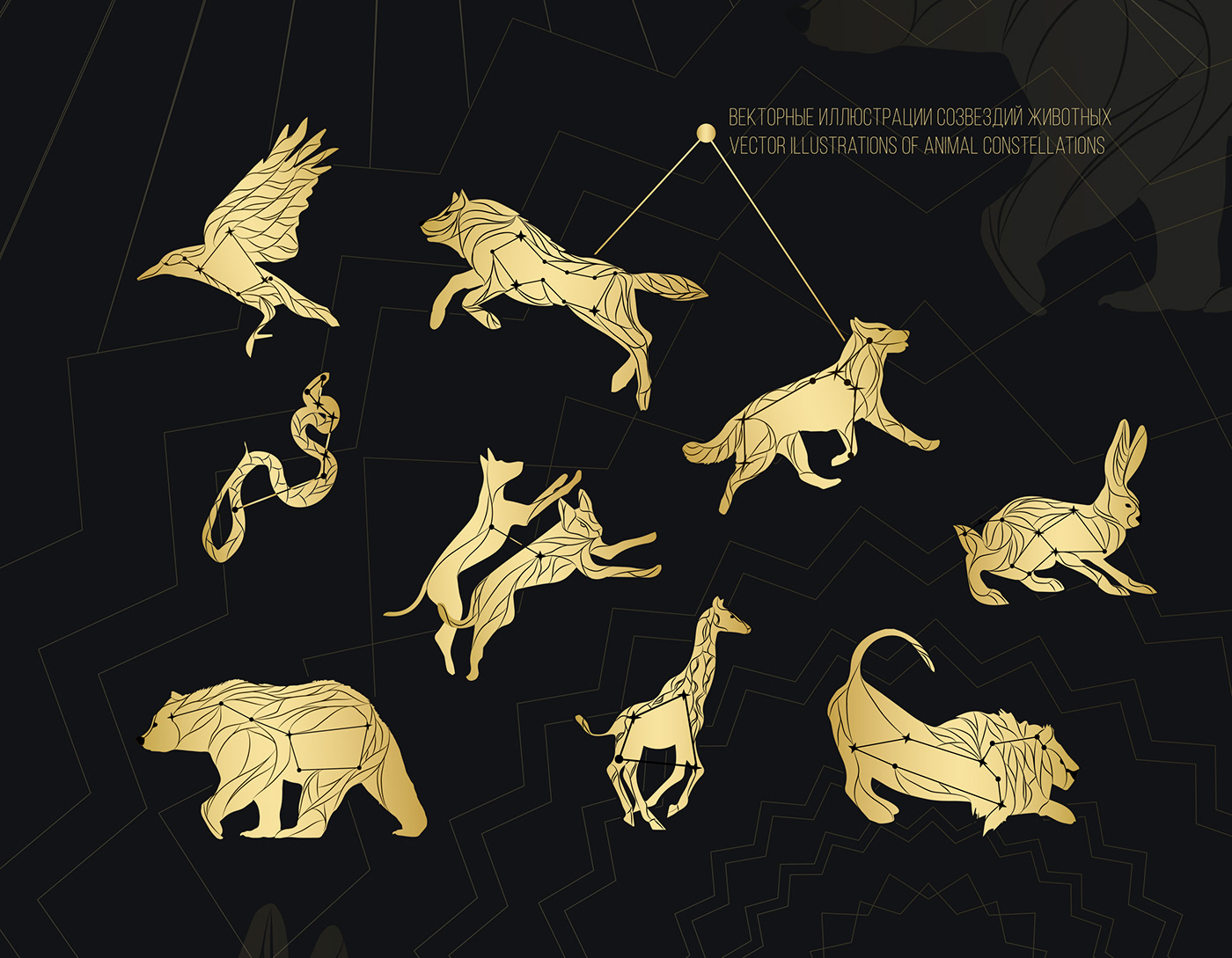calendar design adobe illustrator designer Constellations astronomy stars animals vector Graphic Designer ILLUSTRATION 